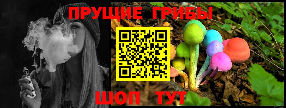 Галлюциногенные грибы GOLDEN TEACHER  Вход с VPN  где можно купить   Павлово 